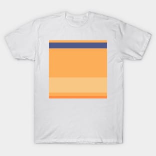 An enchanting combo of Purple Navy, White, Sandy, Pale Orange and Orangeish stripes. T-Shirt